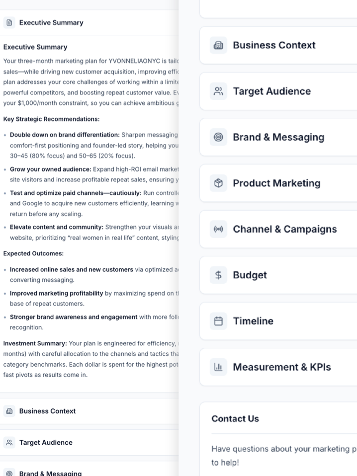 Strategy Plan Preview